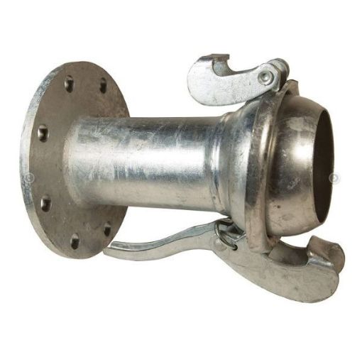 Picture of Male Bauer x PN16 