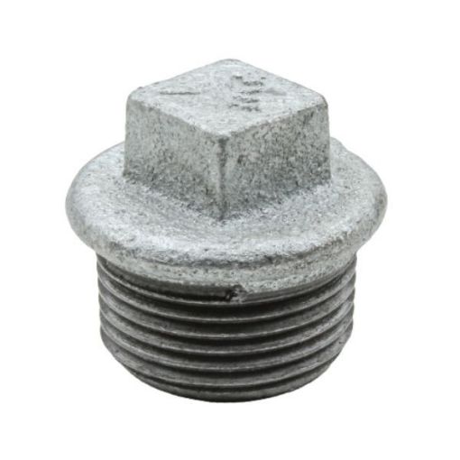 Picture of Male Plug 