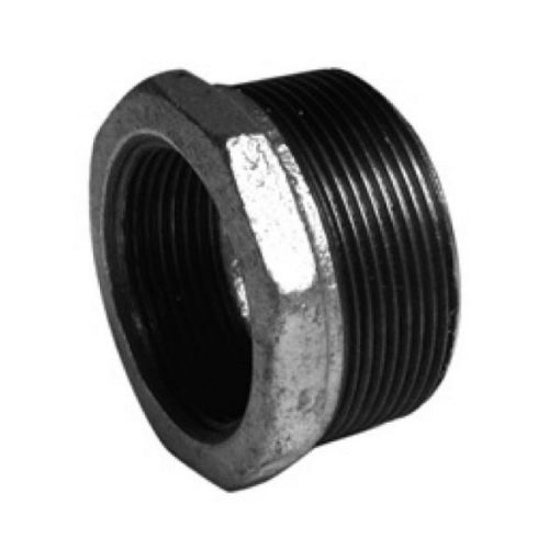 Picture of Male x Female Reducing Bush